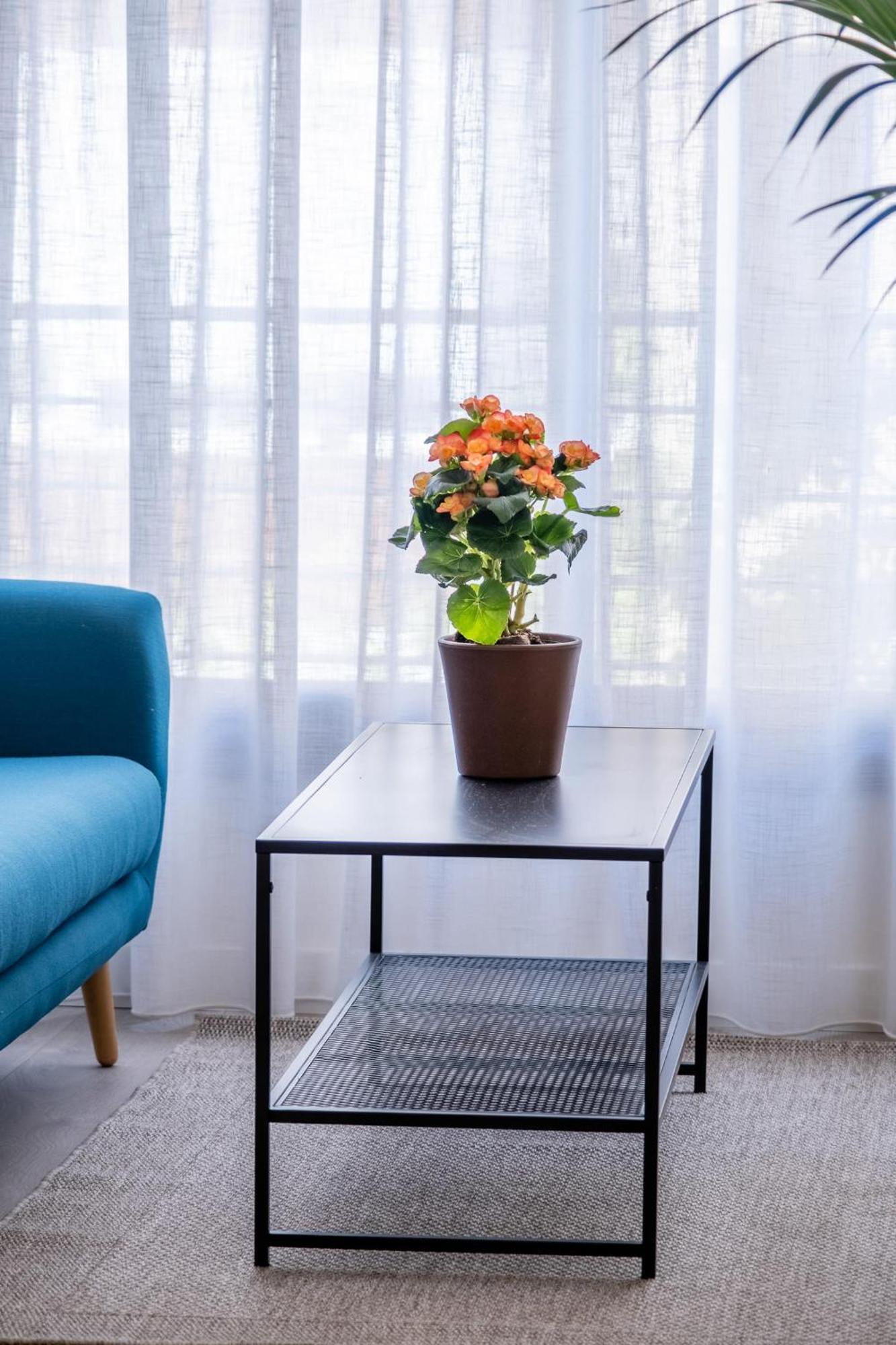Juan De Austria Appartement